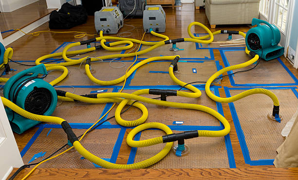 Professional Flood Damage Restoration technician working in Medon, TN